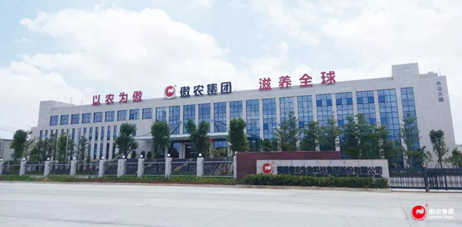 9001诚信金沙(中国)有限公司