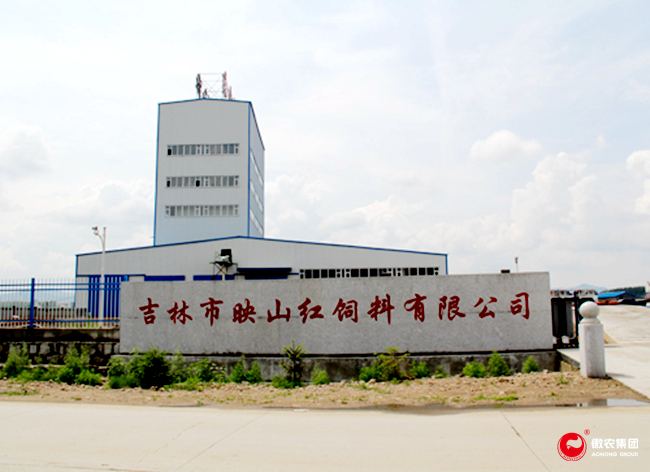 9001诚信金沙(中国)有限公司