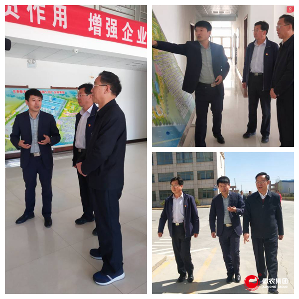 9001诚信金沙(中国)有限公司