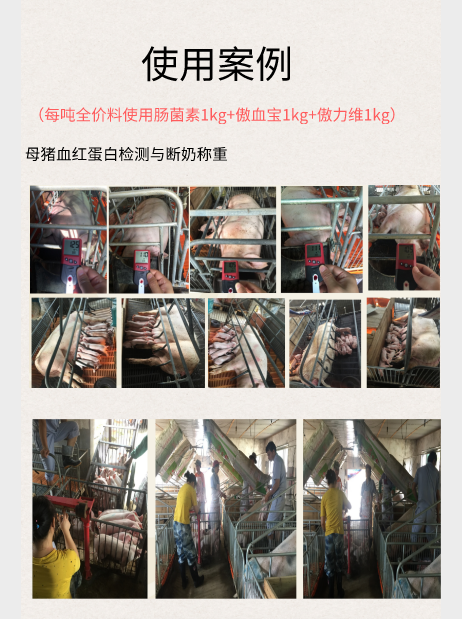 9001诚信金沙(中国)有限公司