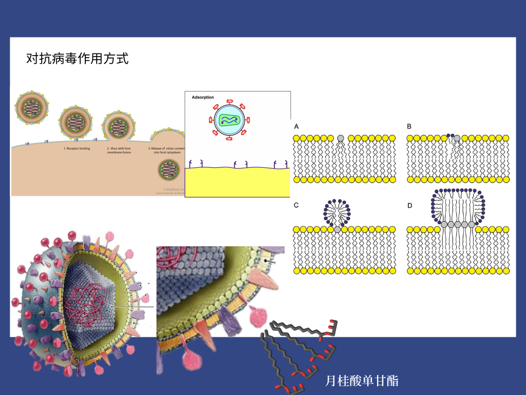 9001诚信金沙(中国)有限公司