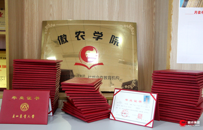 9001诚信金沙(中国)有限公司