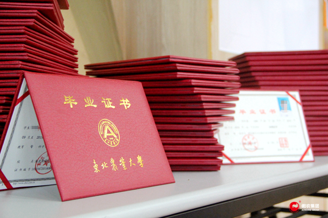 9001诚信金沙(中国)有限公司