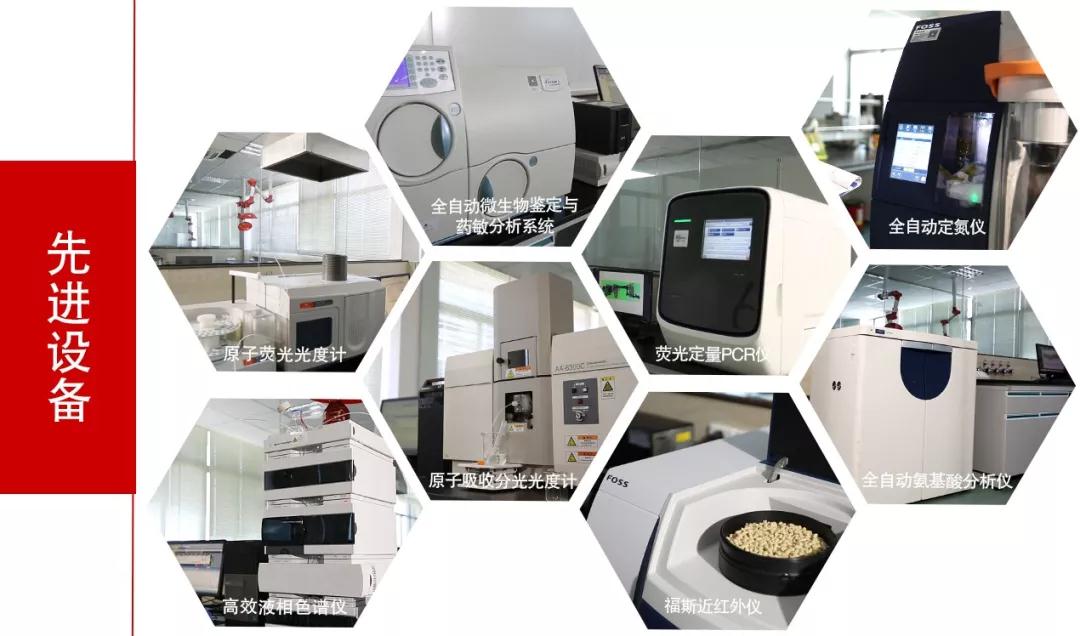 9001诚信金沙(中国)有限公司