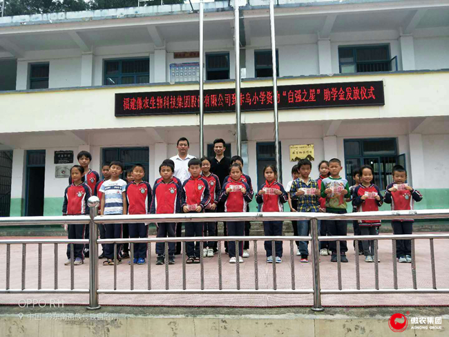 9001诚信金沙(中国)有限公司