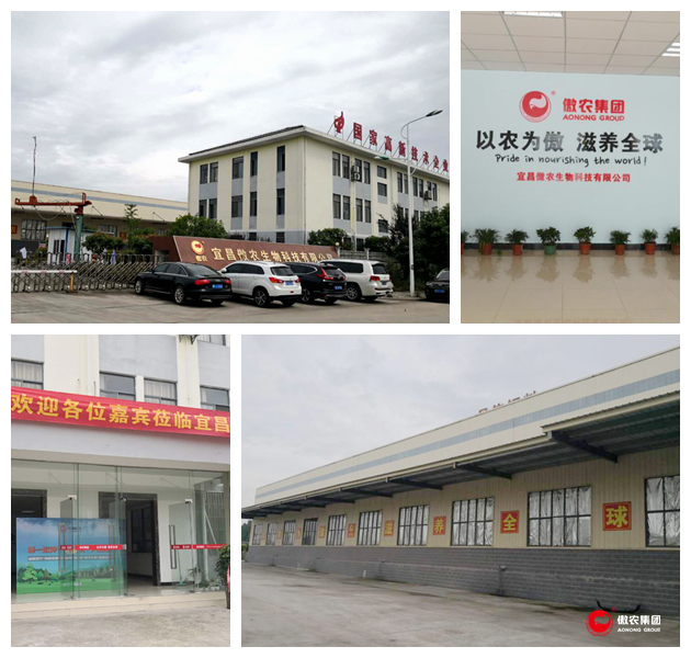 9001诚信金沙(中国)有限公司