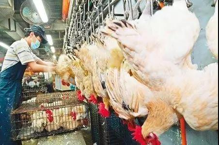 9001诚信金沙(中国)有限公司