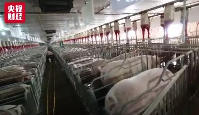 9001诚信金沙(中国)有限公司