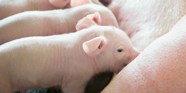 9001诚信金沙(中国)有限公司