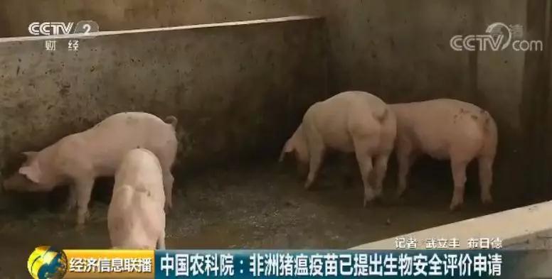 9001诚信金沙(中国)有限公司