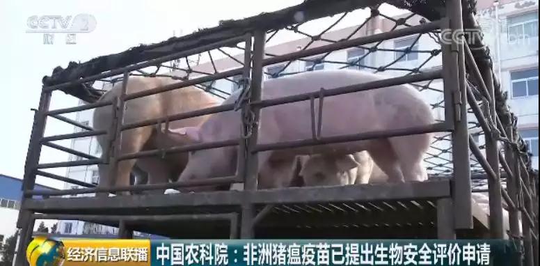 9001诚信金沙(中国)有限公司