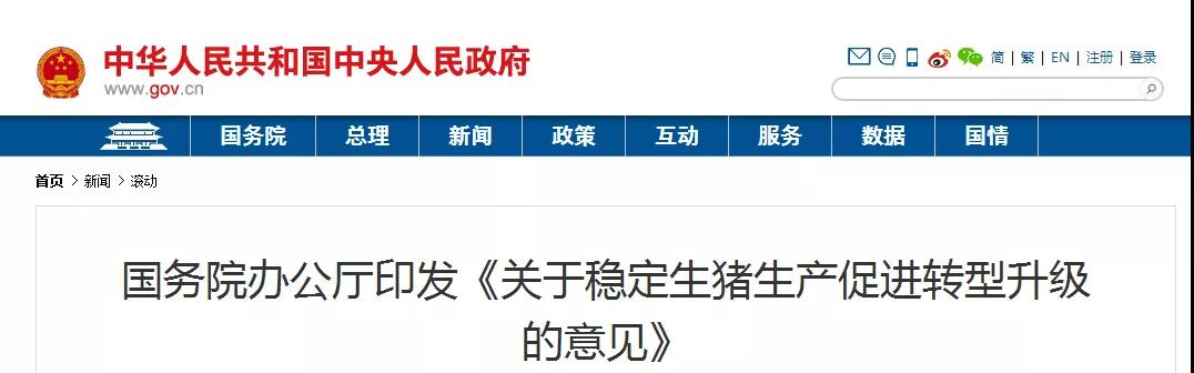 9001诚信金沙(中国)有限公司