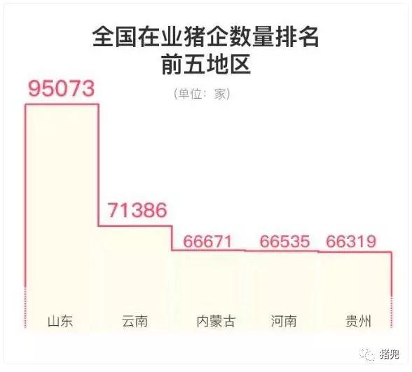 9001诚信金沙(中国)有限公司