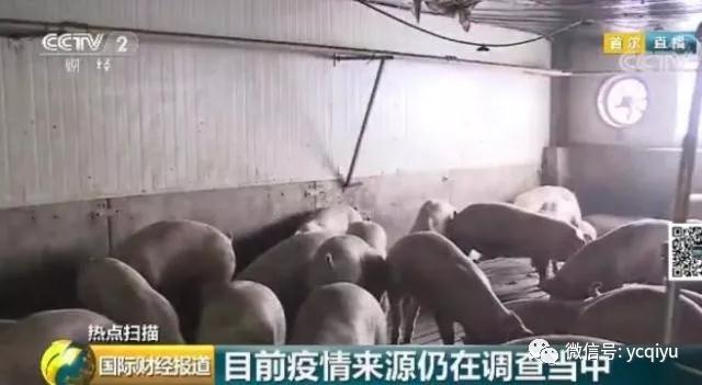 9001诚信金沙(中国)有限公司