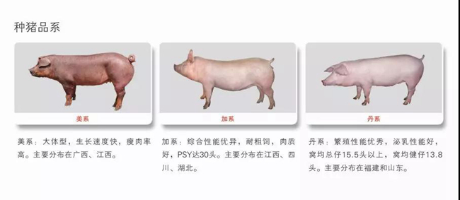 9001诚信金沙(中国)有限公司