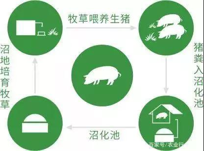 9001诚信金沙(中国)有限公司