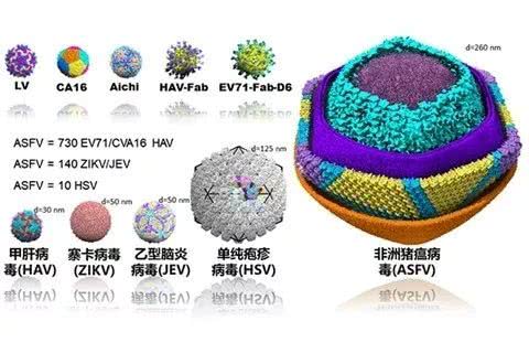 9001诚信金沙(中国)有限公司