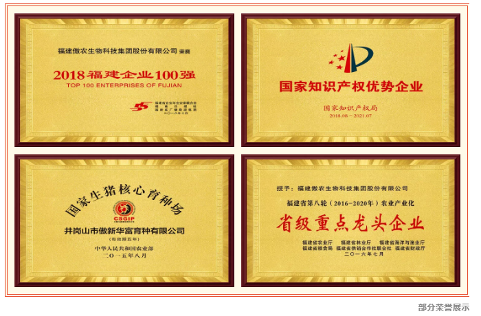 9001诚信金沙(中国)有限公司