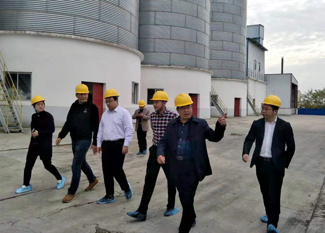 9001诚信金沙(中国)有限公司