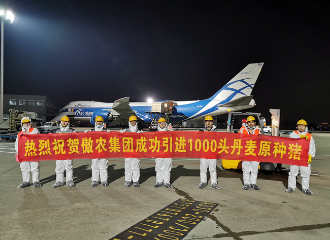 9001诚信金沙(中国)有限公司