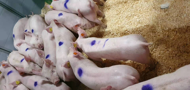 9001诚信金沙(中国)有限公司