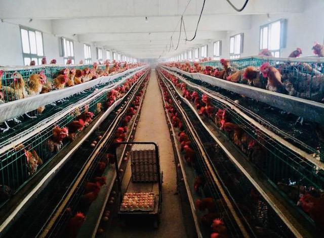 9001诚信金沙(中国)有限公司