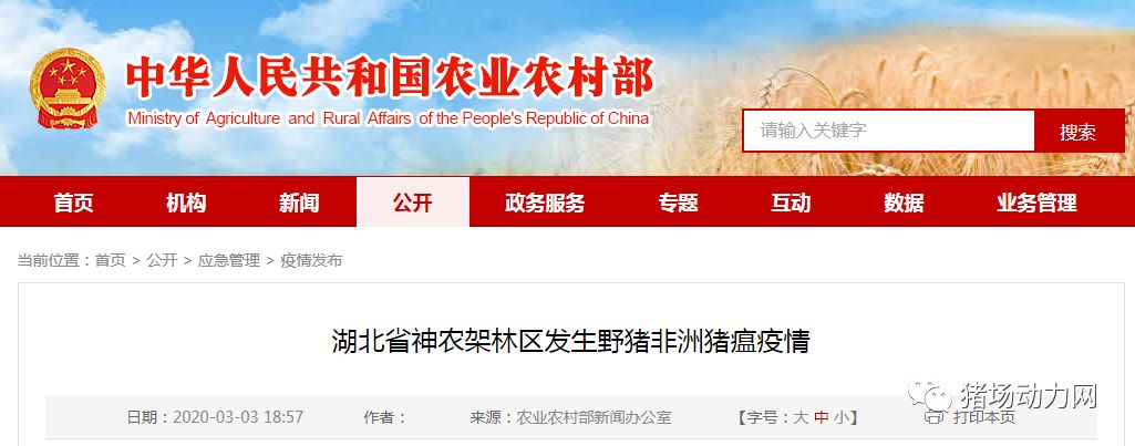 9001诚信金沙(中国)有限公司