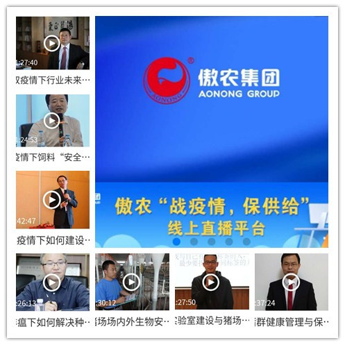 9001诚信金沙(中国)有限公司