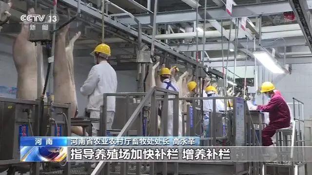 9001诚信金沙(中国)有限公司