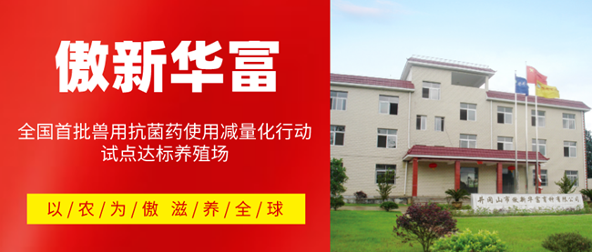 9001诚信金沙(中国)有限公司