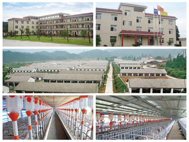 9001诚信金沙(中国)有限公司