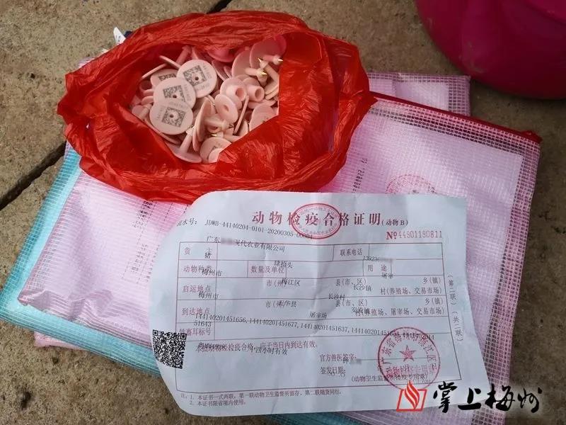 9001诚信金沙(中国)有限公司