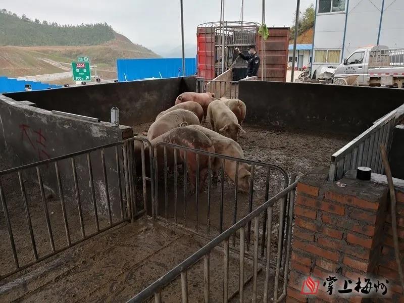 9001诚信金沙(中国)有限公司