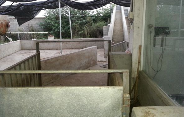 9001诚信金沙(中国)有限公司