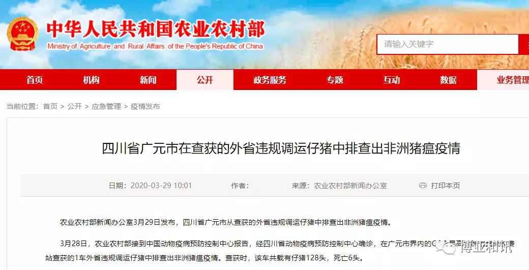 9001诚信金沙(中国)有限公司