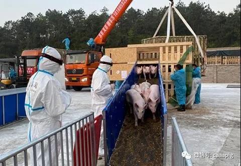 9001诚信金沙(中国)有限公司