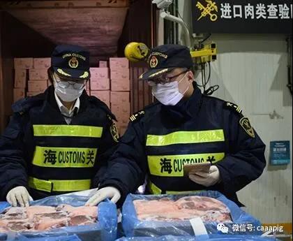 9001诚信金沙(中国)有限公司