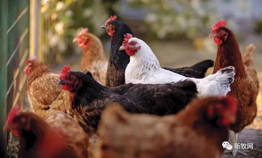 9001诚信金沙(中国)有限公司