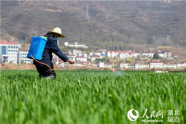 9001诚信金沙(中国)有限公司