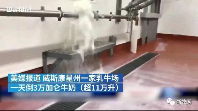 9001诚信金沙(中国)有限公司