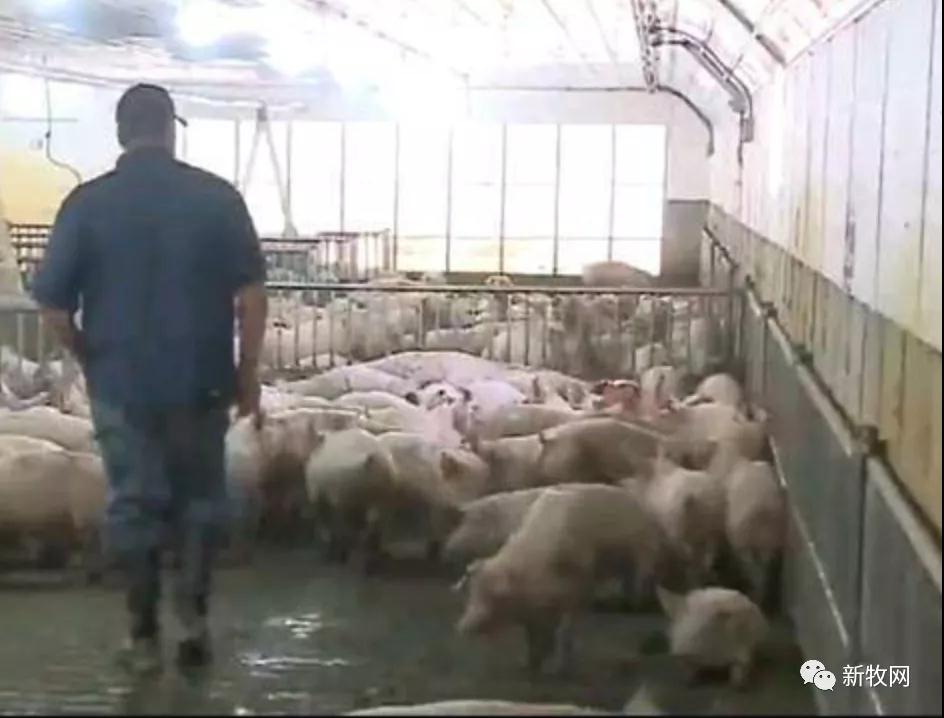 9001诚信金沙(中国)有限公司