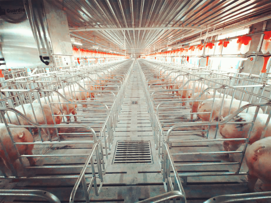 9001诚信金沙(中国)有限公司