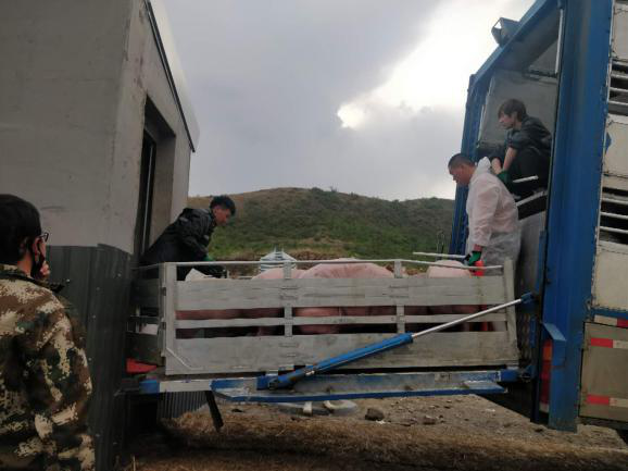 9001诚信金沙(中国)有限公司