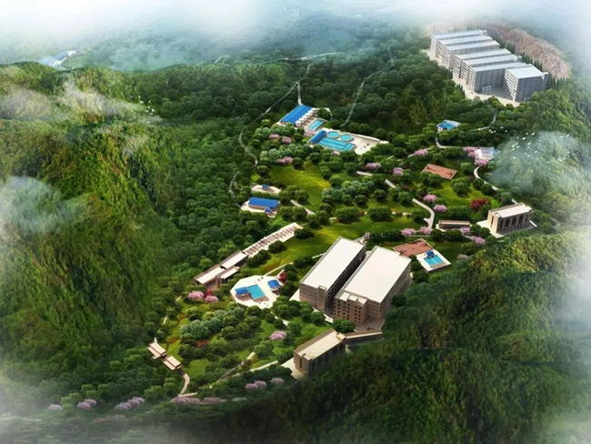 9001诚信金沙(中国)有限公司