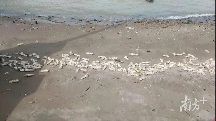 9001诚信金沙(中国)有限公司