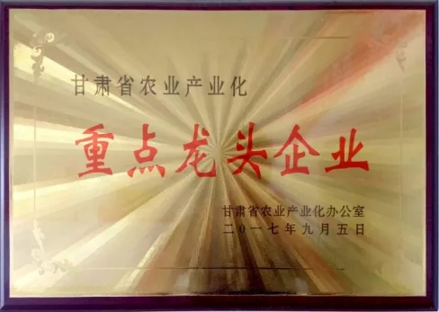 9001诚信金沙(中国)有限公司