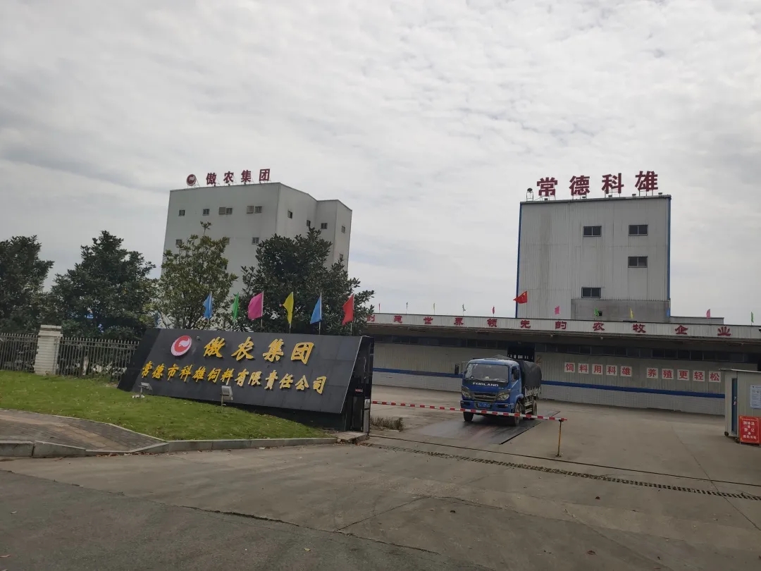 9001诚信金沙(中国)有限公司