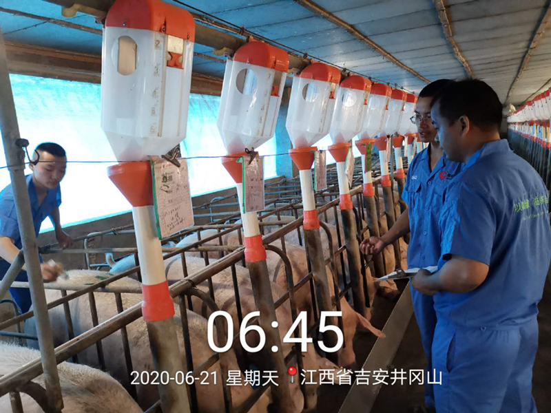 9001诚信金沙(中国)有限公司