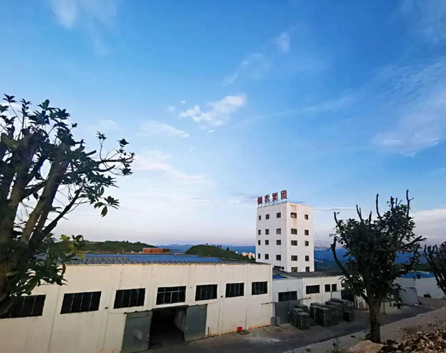 9001诚信金沙(中国)有限公司