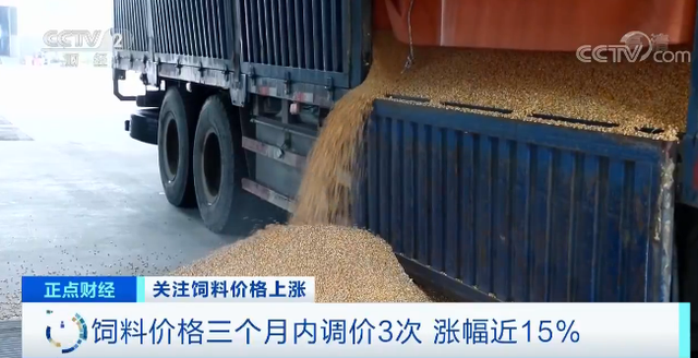 9001诚信金沙(中国)有限公司